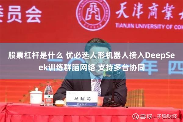 股票杠杆是什么 优必选人形机器人接入DeepSeek训练群脑网络 支持多台协同