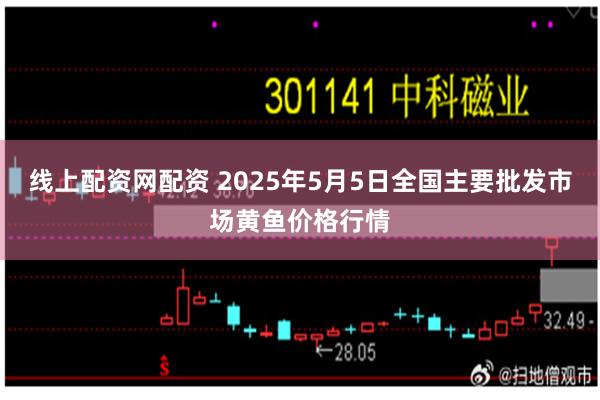 线上配资网配资 2025年5月5日全国主要批发市场黄鱼价格行情