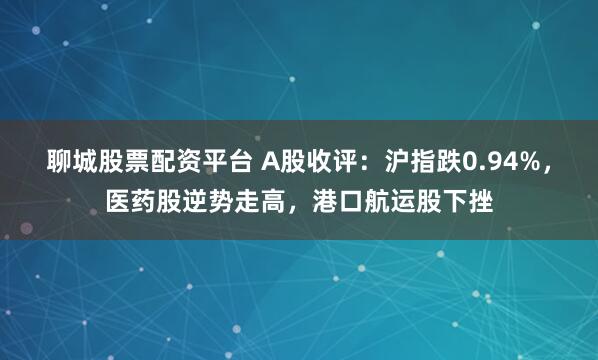 聊城股票配资平台 A股收评：沪指跌0.94%，医药股逆势走高，港口航运股下挫