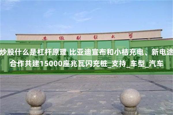 炒股什么是杠杆原理 比亚迪宣布和小桔充电、新电途合作共建15000座兆瓦闪充桩_支持_车型_汽车