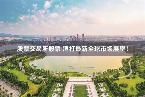 股票交易所股票 渣打最新全球市场展望！