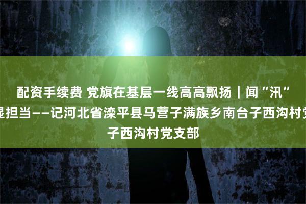 配资手续费 党旗在基层一线高高飘扬｜闻“汛”而动显担当——记河北省滦平县马营子满族乡南台子西沟村党支部