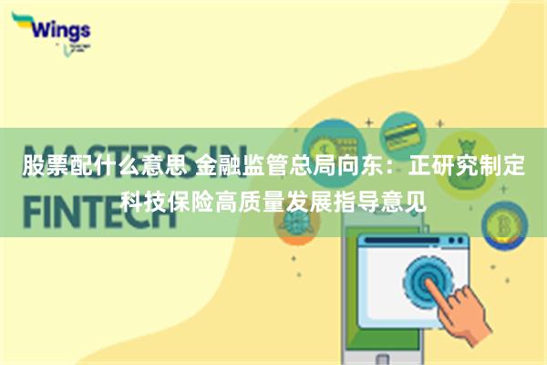 股票配什么意思 金融监管总局向东：正研究制定科技保险高质量发展指导意见